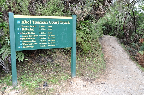 Wandern im Abel Tasman Nationalpark
